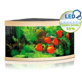 Juwel Trigon 350 LED akvárium szett világos fa