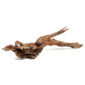 Kép 6/10 - Driftwood fa XL / 35-55 cm